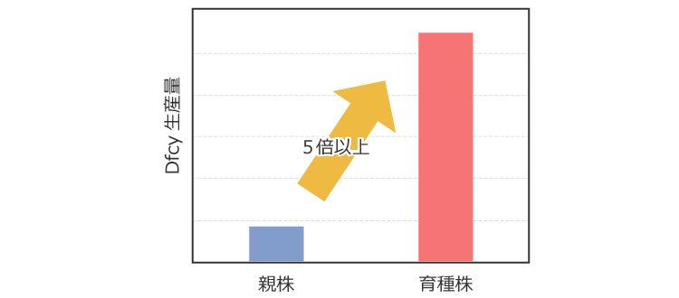 図：育種による生産量の増加