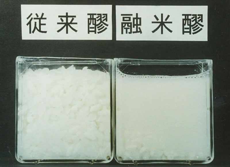 従来（蒸米仕込み）のモロミ（左）と融米のモロミ（右）