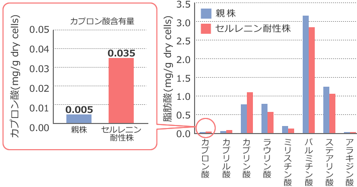 図4 酵母細胞内の脂肪酸組成