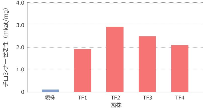 図3 形質転換株のチロシナーゼ活性