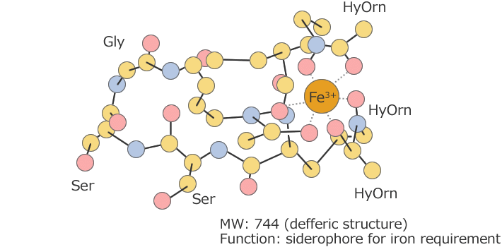 図1 Ferrichrysin (Fcy)