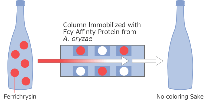図2 The Strategy of Removal of Fcy in Sake