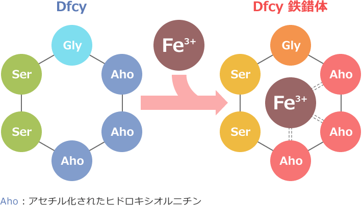 図1 Dfcyと鉄が結合したDfcy鉄錯体