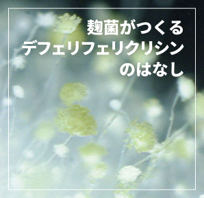 麹菌がつくるデフェクリクリシンンのはなし
