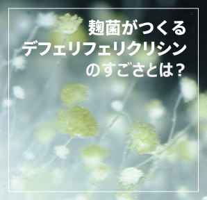 麹菌がつくるデフェリフェリクリシンのすごさとは?