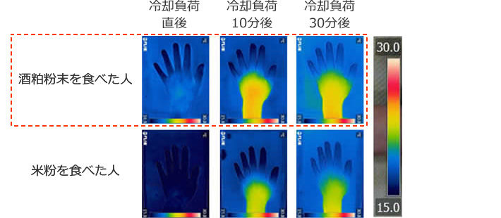 図2 冷却負荷試験後の手の表面温度