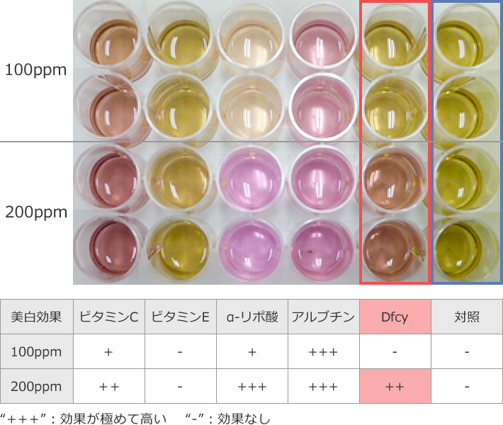 図1 Dfcyのマウス培養細胞でのメラニン生成の抑制効果