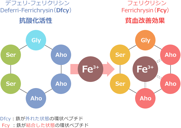 図1 デフェリフェリクリシンとは