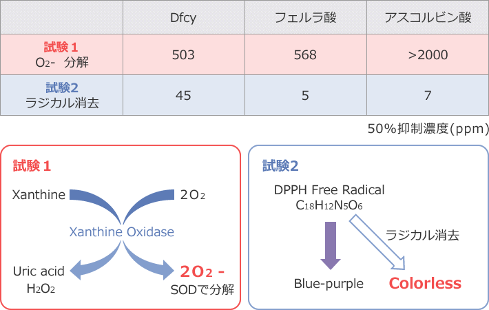 図2 Dfcyの抗酸化活性