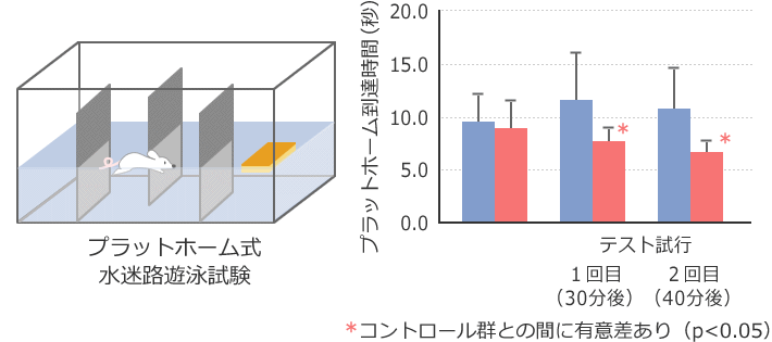 プラットホーム式水迷路遊泳試験