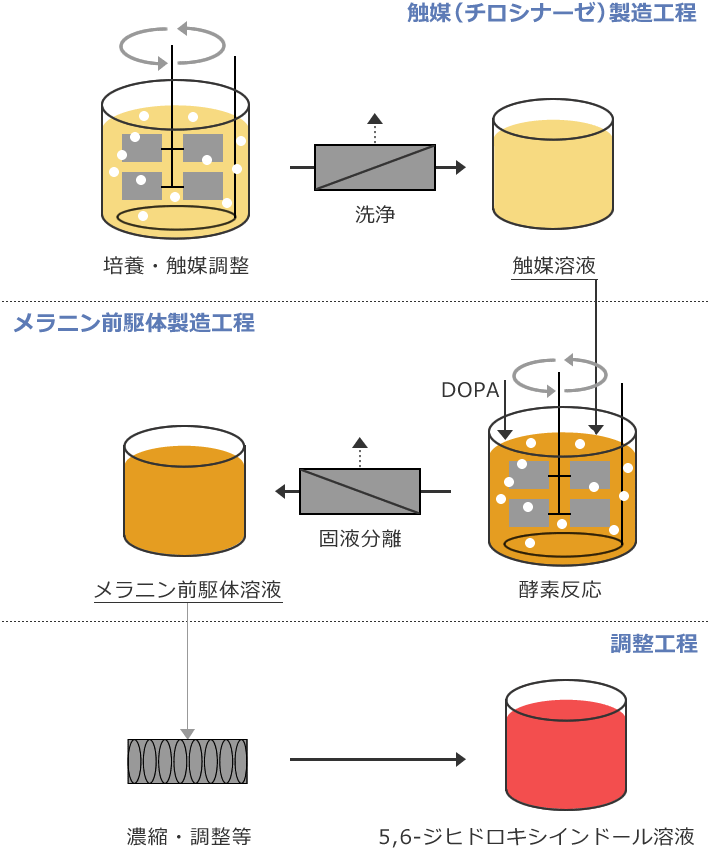 図3 メラニン前駆体のバイオ生産システム