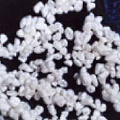 米麹に含まれるデフェリフェリクリシン、ビタミンＣやＥよりも優れる美白作用
