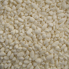 麹造りを科学するお米と麹菌の相性の秘密