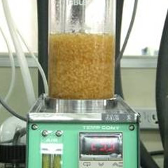 麹菌の酵素工場独自のシステムで有用酵素を大量生産
