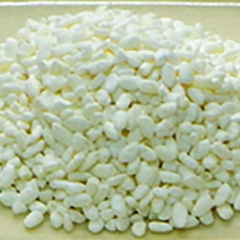 米麹のデフェリフェリクリシンにはアンチエイジング（抗酸化）効果