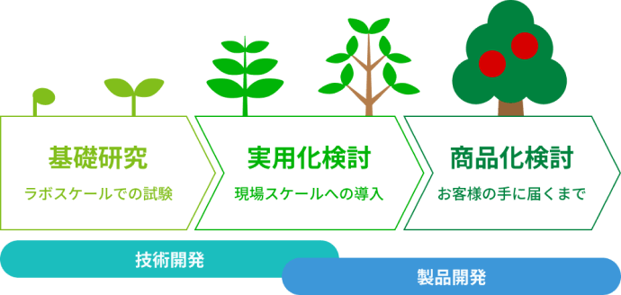 研究開発の流れ