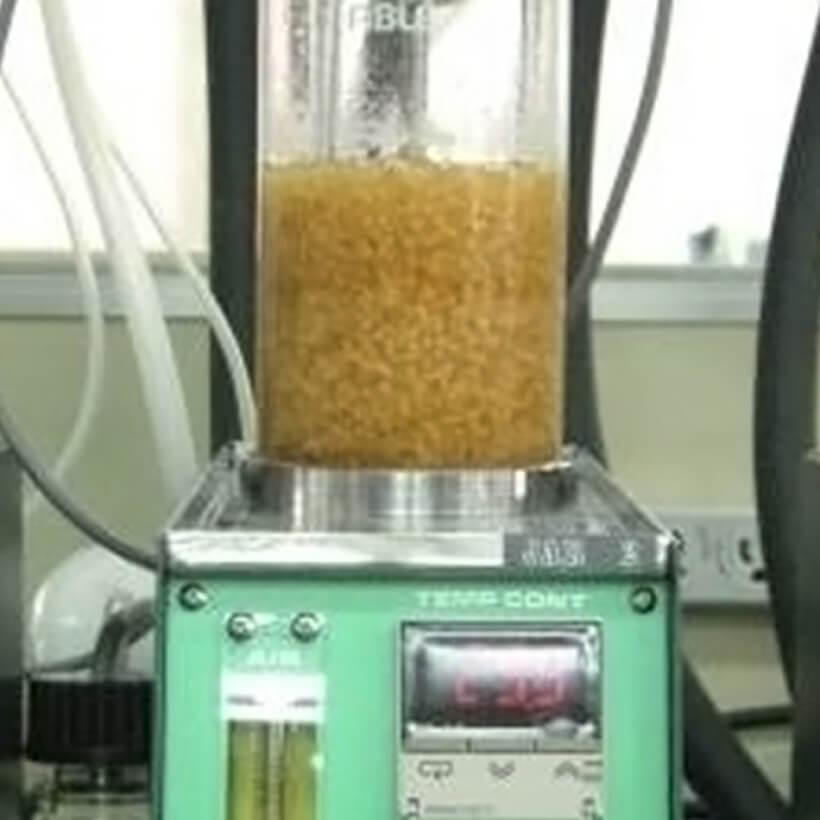 麹菌の酵素工場独自のシステムで有用酵素を大量生産