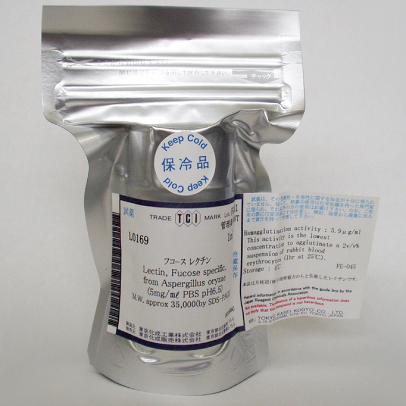 最先端のがん研究で麹菌が活躍中！