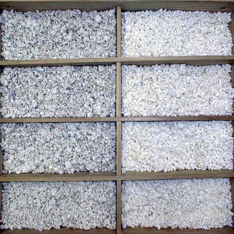 麹菌チロシナーゼを用いたメラニン前駆体の工業生産技術の開発