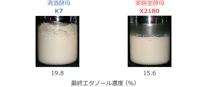 図1 各種酵母を用いた仕込み試験