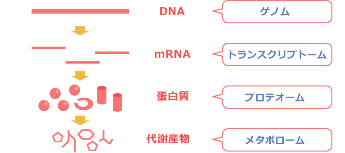 図2 ポストゲノム解析