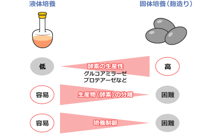 図1 培養方法と酵素生産