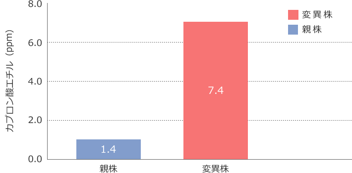 カプロン酸エチル高生産株で醸造した清酒の成分