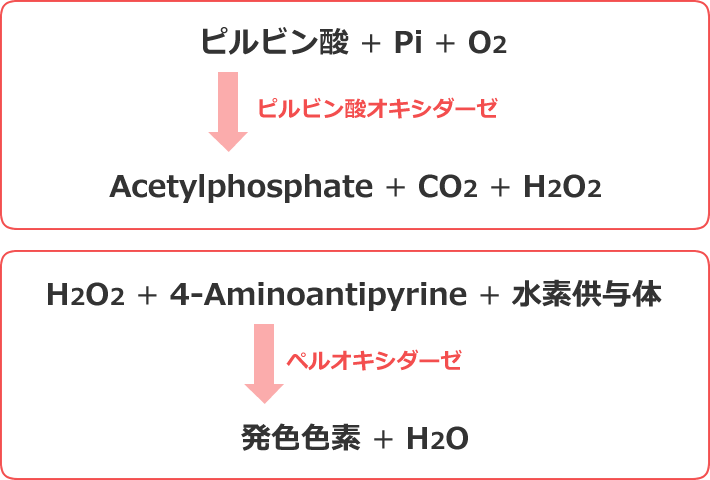 ピルビン酸の測定原理