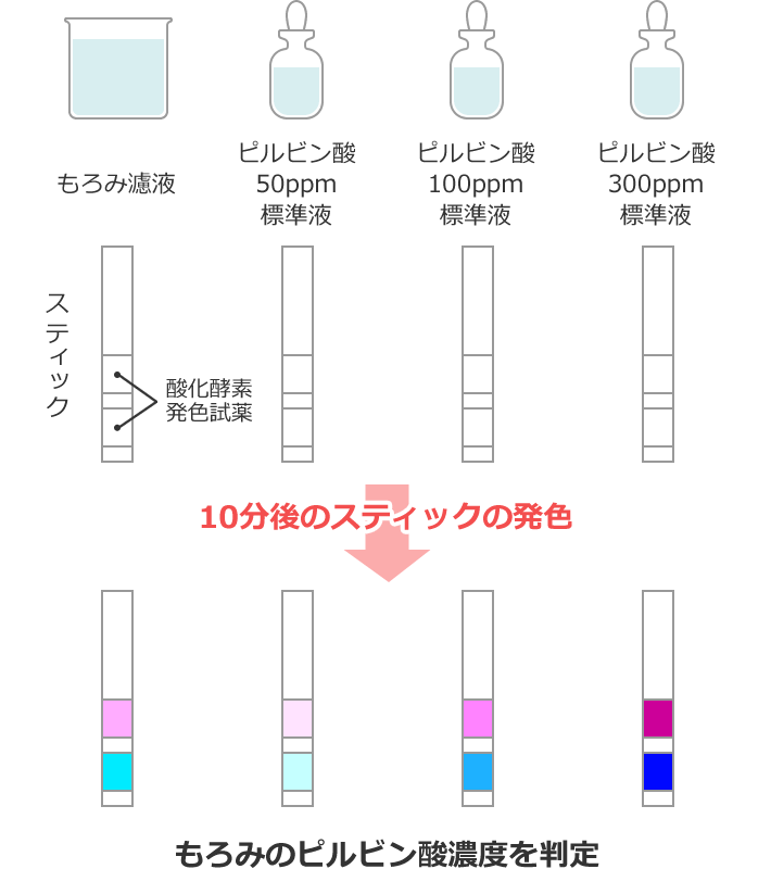 「ピルビン酸測定スティック」での測定方法