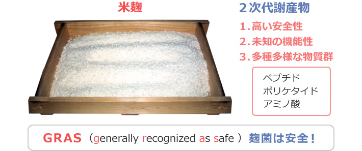 図3 麹菌の2次代謝産物には興味深い物質が含まれている