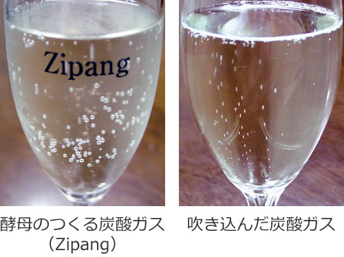 酵母のつくる炭酸ガス（Zipang）とボンベから吹きこんだ炭酸ガスのちがい