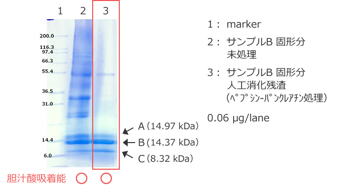 図6 にごり酒のレジスタントプロテイン