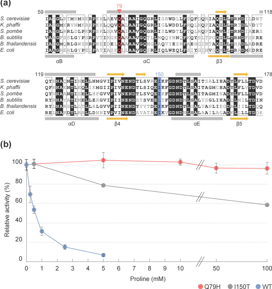 Figure (a) Partial amino acid sequence alignment of γ‐glutamyl kinase (GK) and (b) Effect of proline concentrations on γ‐glutamyl kinase activity 