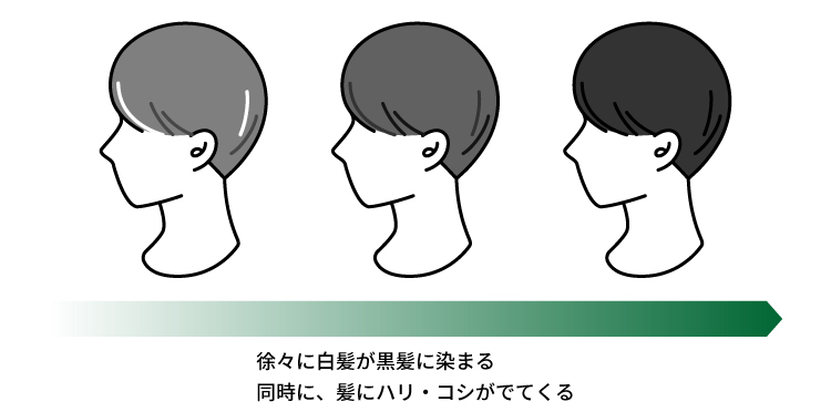 図4 チロシナーゼにより作られた天然由来の髪色素の特徴