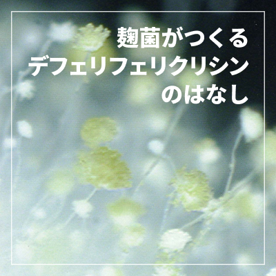 麹菌がつくるデフェリフェリクリシンのはなし