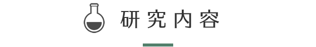 研究内容