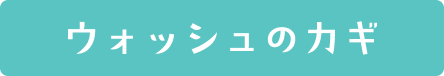 ウォッシュのカギ