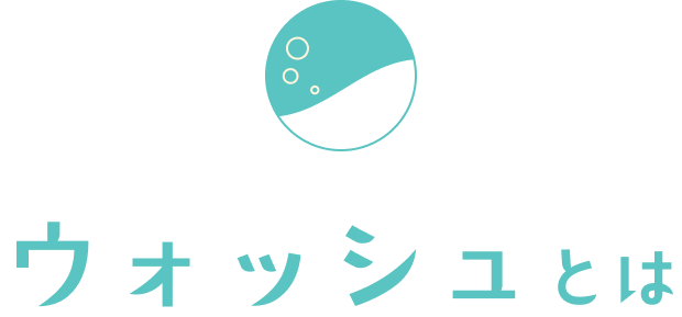 ウォッシュとは