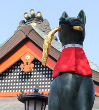 Foxes are the messenger animal of the god Inari