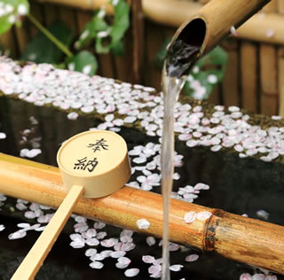 御香宮神社