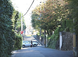 福島正則の屋敷のあった界隈