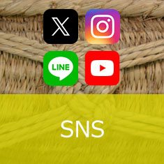 SNS