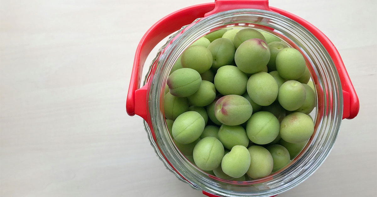 日本酒で梅酒をつくると法律違反になるって本当ですか 知る 学ぶ お酒の博物誌 月桂冠 ホームページ