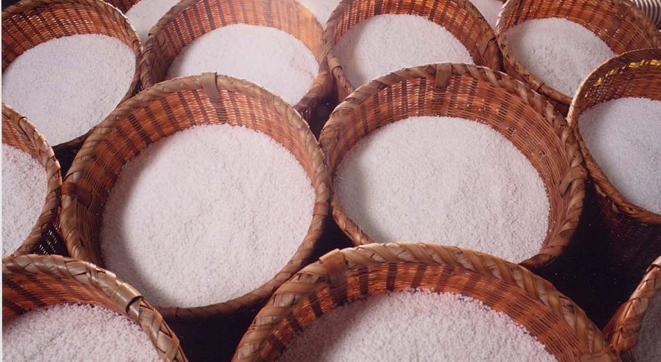 米から酒へ、原料米の精米、洗米、浸漬、蒸米 そして麹づくり、仕込み工程へ
