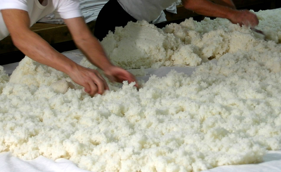 日本の醸造食品を支える「麹」(こうじ)とは うまみ、甘みを産み出すもとになり、酒を決める重要な工程