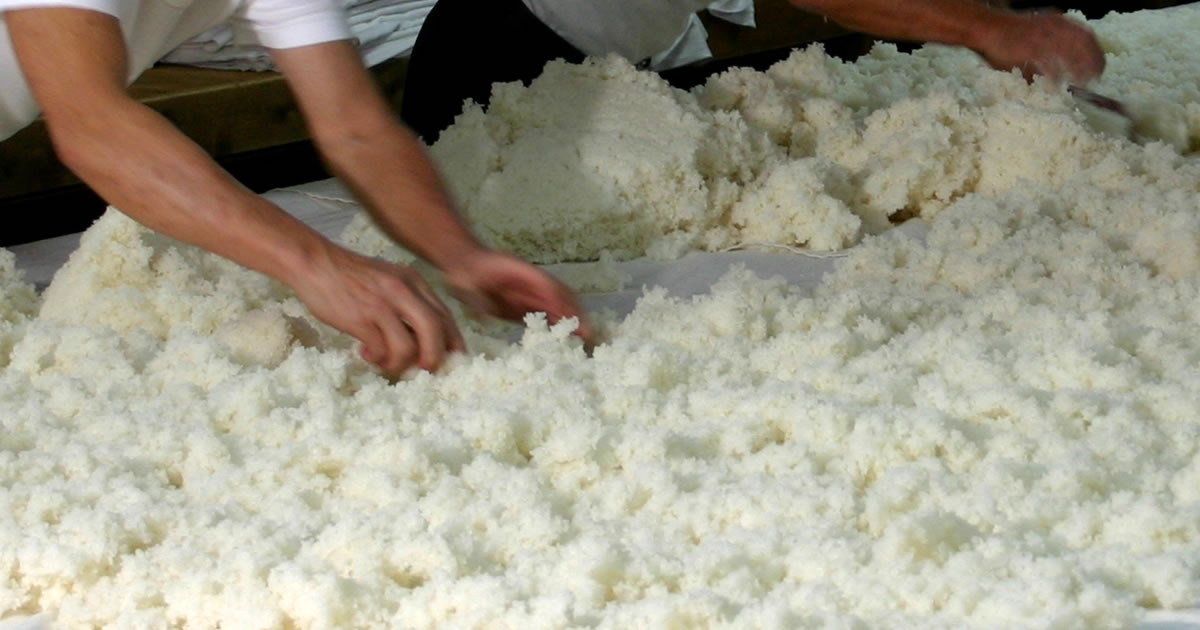 日本の醸造食品を支える「麹」（こうじ）とは うまみ、甘みを産み出すもとになり、酒を決める重要な工程｜知る・学ぶ お酒の博物誌｜月桂冠 ホームページ