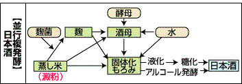 並行複発酵