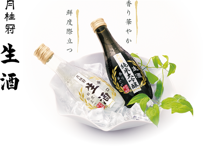 月桂冠 生酒