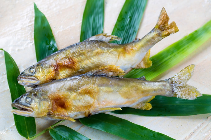 夏を味わう鮎の塩焼き