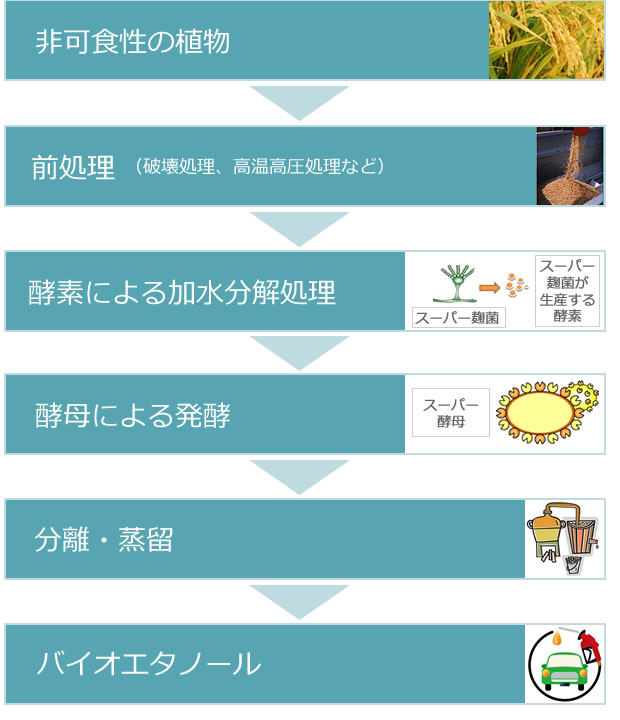 「スーパー酵母」の働きにより、もみ穀や稲わらからエタノールが生成できることを実験で確認